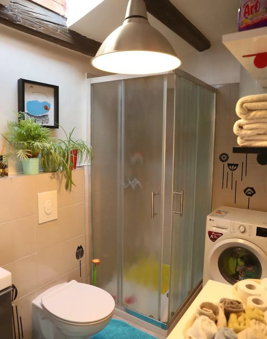 Puntulina Seaview Apartment Rovinj